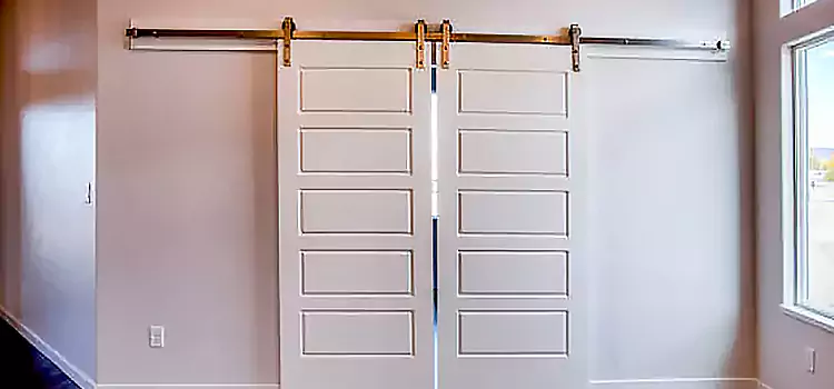 Glass Barn Door with Installation Hardware Kit Radford